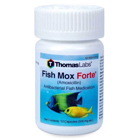 Fish Mox Forte Capsules l Amoxicillin For Fish